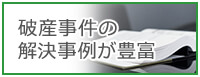 破産事件の解決事例が豊富